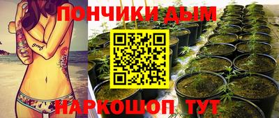 синтетический гашиш Будённовск