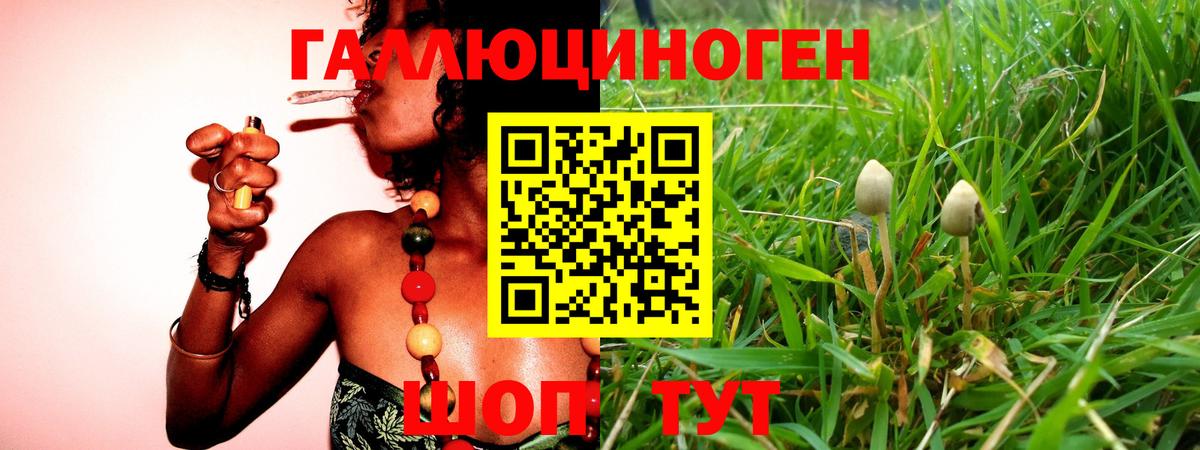 Псилоцибиновые грибы ЛСД Саяногорск
