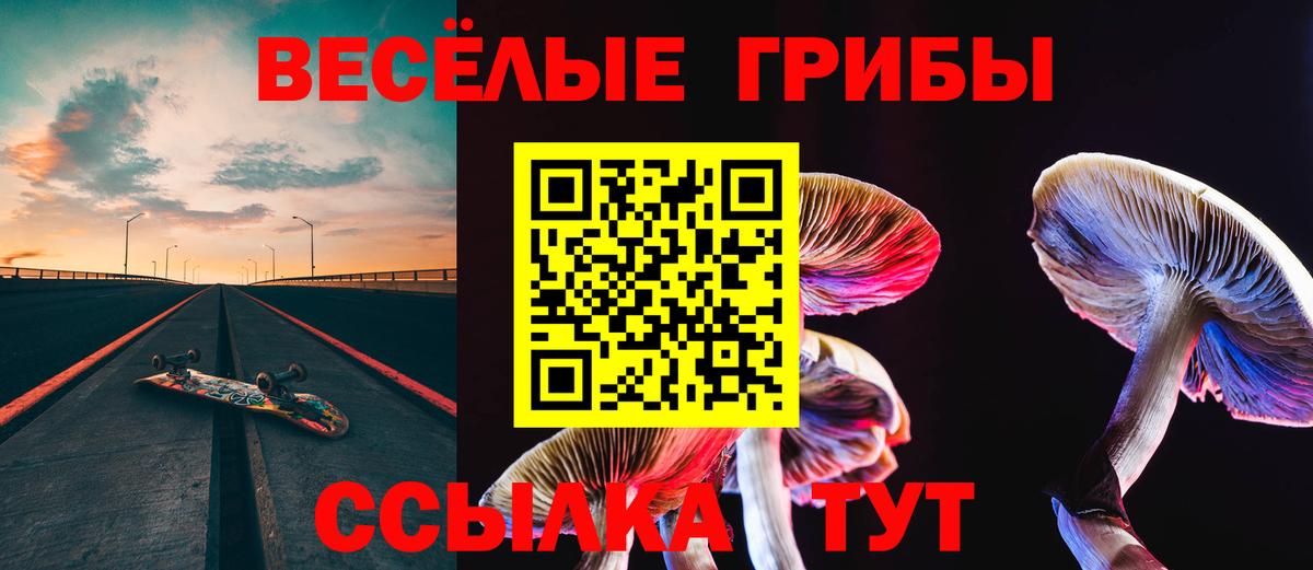 Саяногорск  Псилоцибиновые грибы GOLDEN TEACHER  Галлюциногенные грибы ЛСД  Вход с VPN 